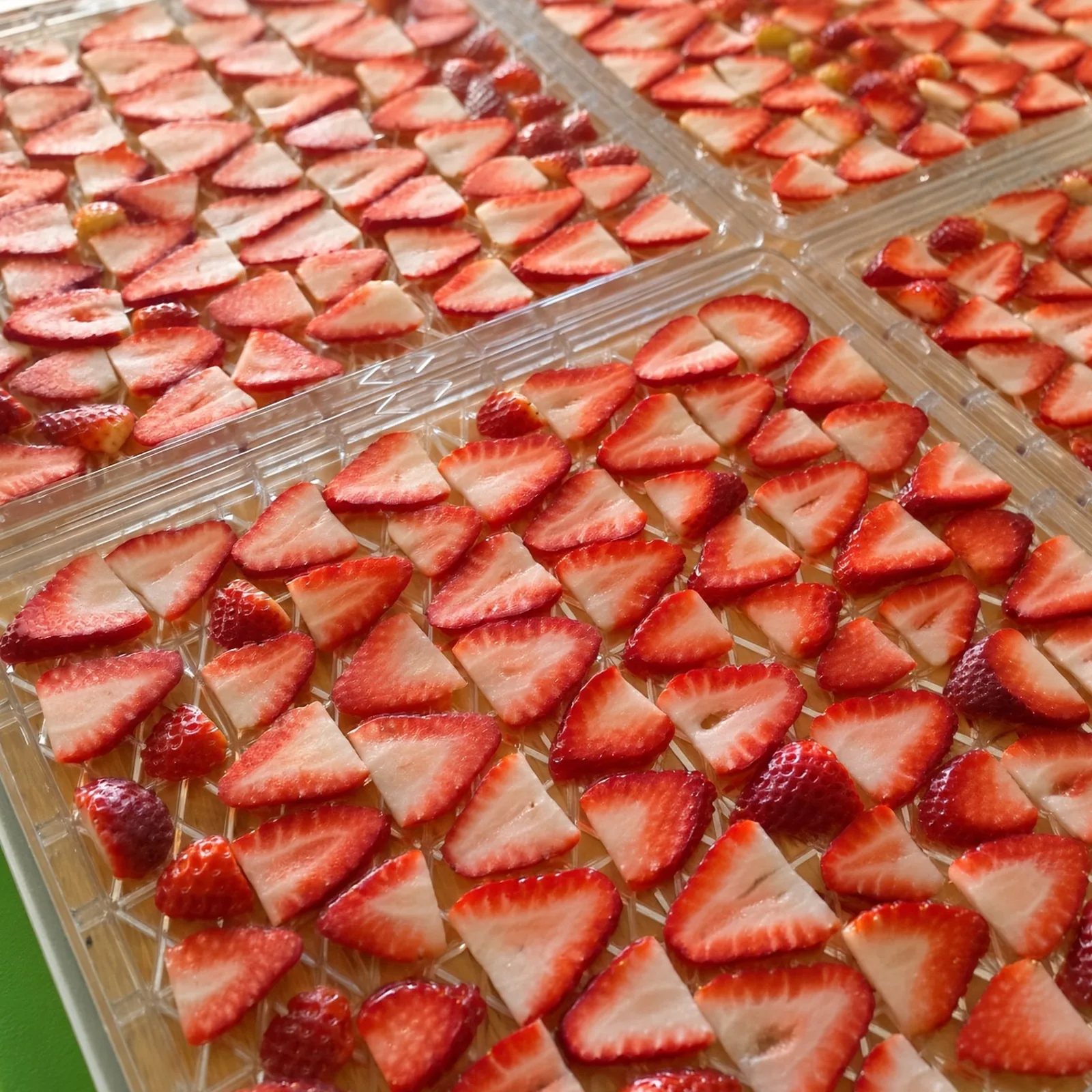 Slicing Strawberries for Dehydration